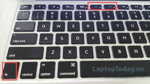 cách làm sáng bàn phím laptop dell | Copy Paste Tool